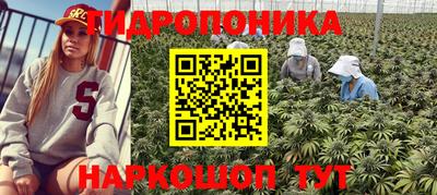 гидропоника Свободный